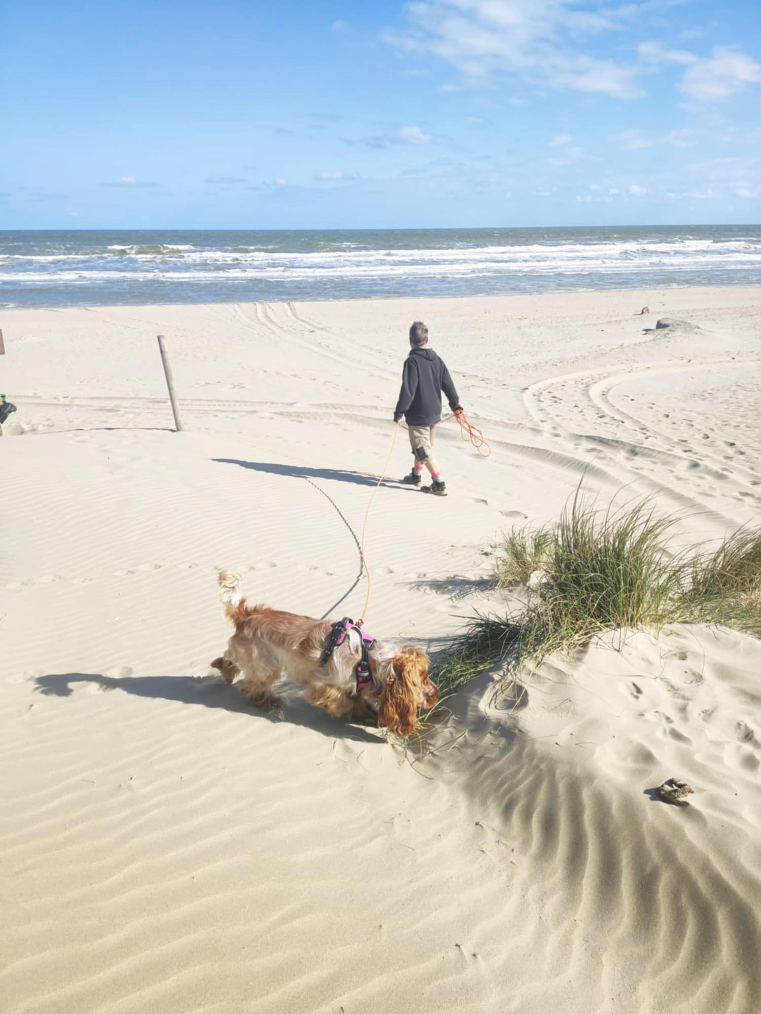 Accès à la plage – La plage à deux pas, avec vos compagnons