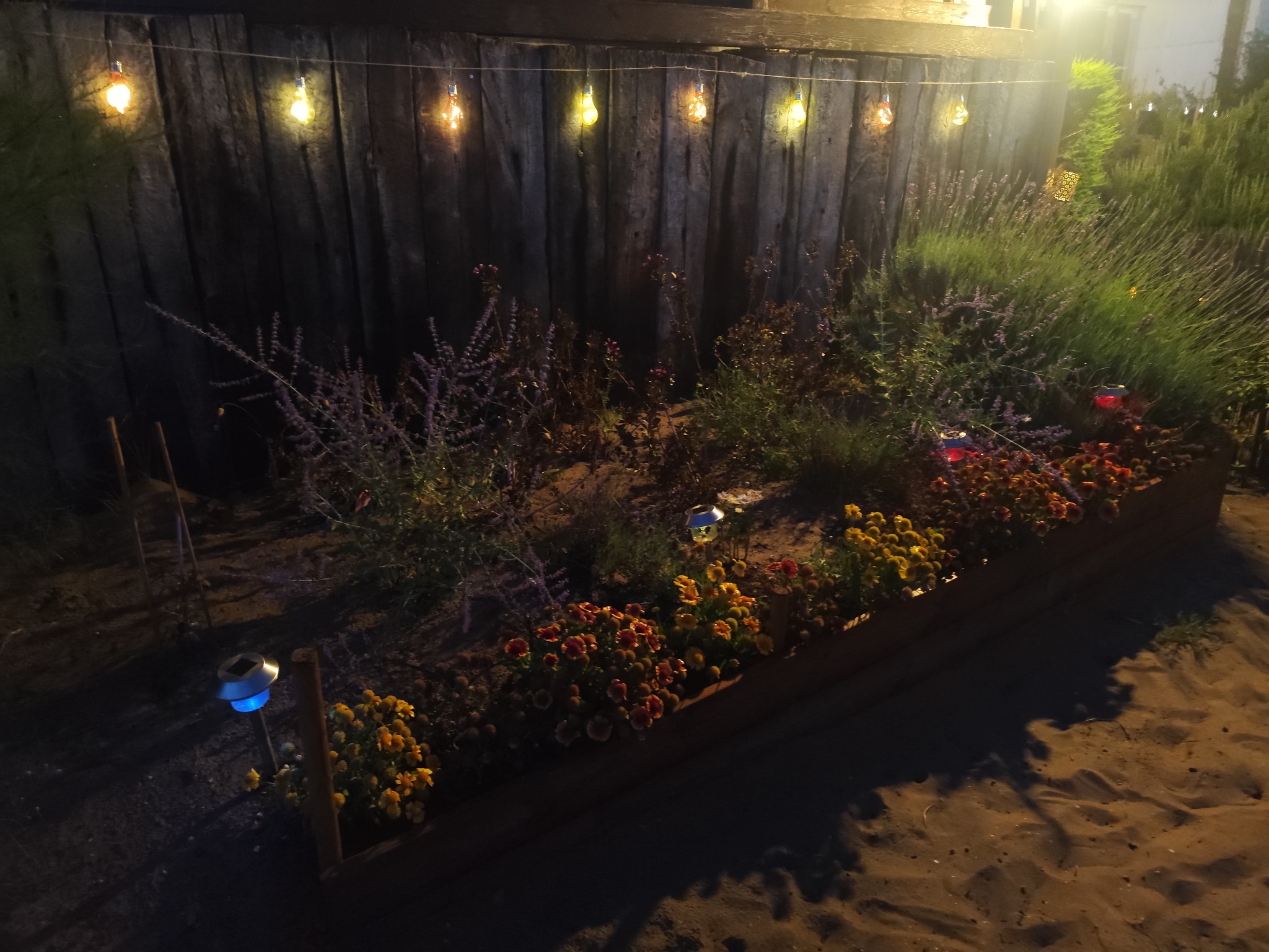 Jardin – Le jardin sous les lumières