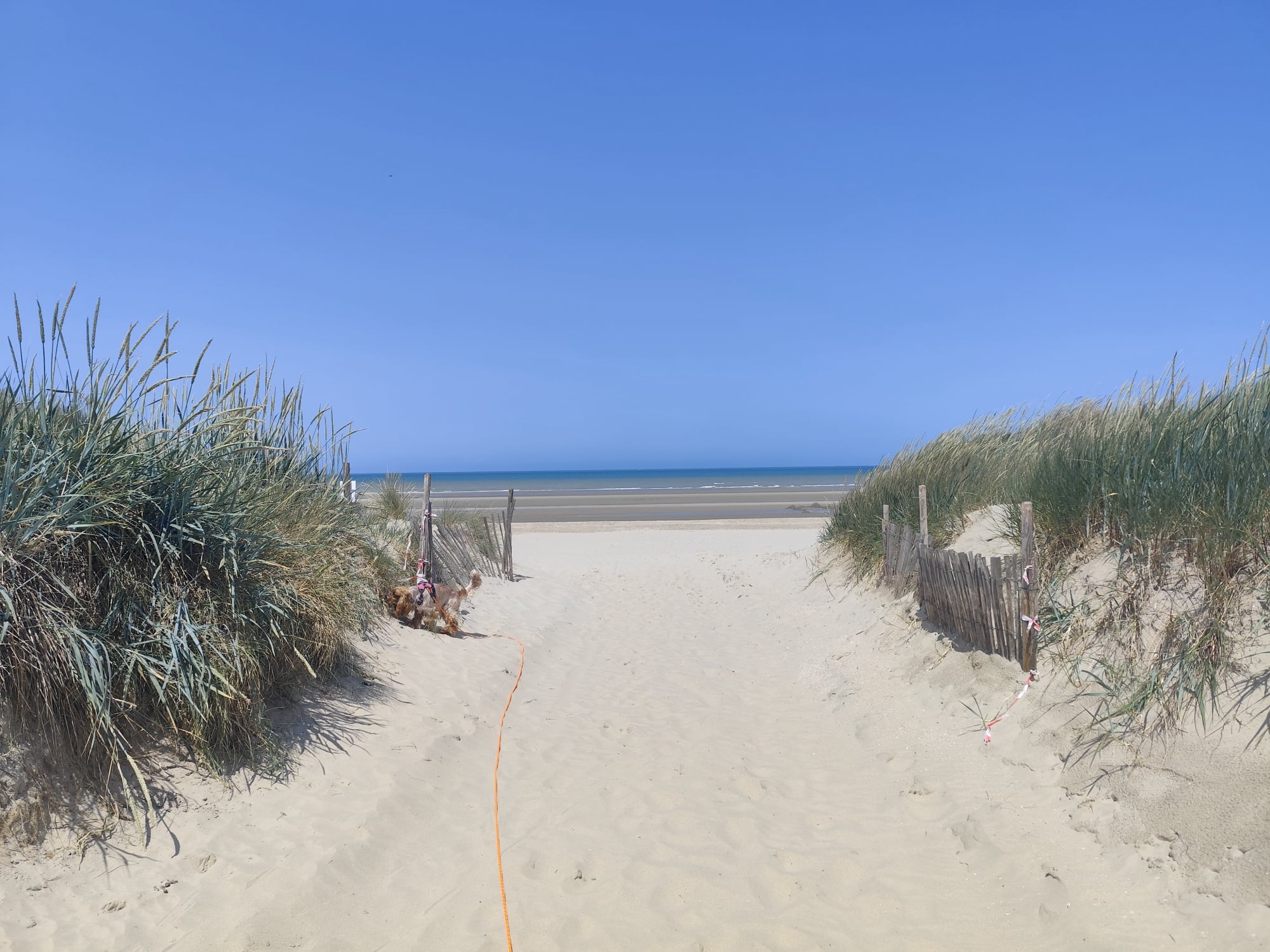 Accès à la plage entre les dunes de Bray-Dunes